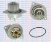 AQUAPLUS 85-4915 Water Pump